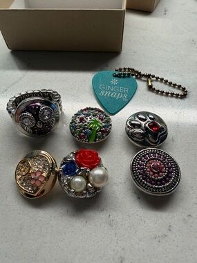 Ginger snap Button Charms -  collection that includes 1 ring and 6 Snaps.
